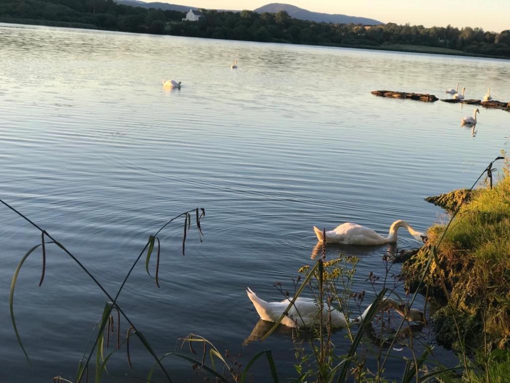 Appartement Lakeside Lookout Bantry